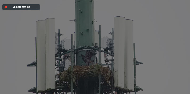 Camera Offline Photo